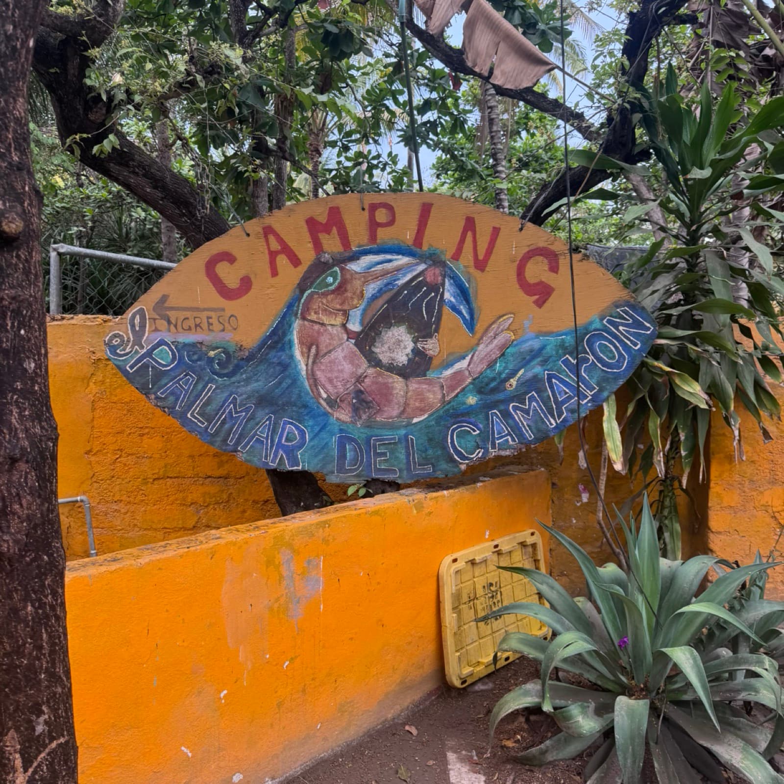 Camarón Campground