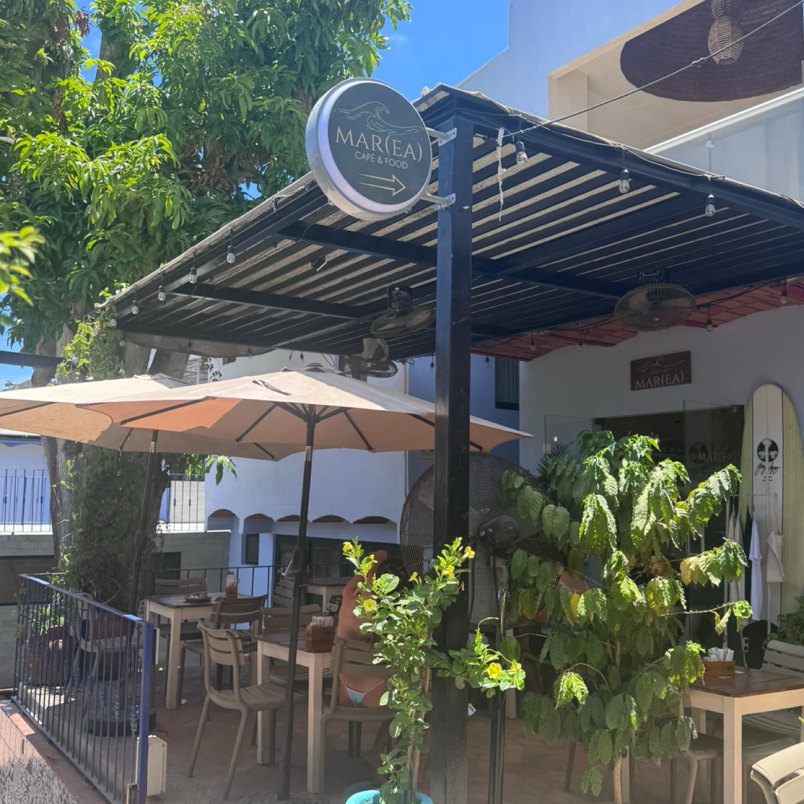 Marea Café