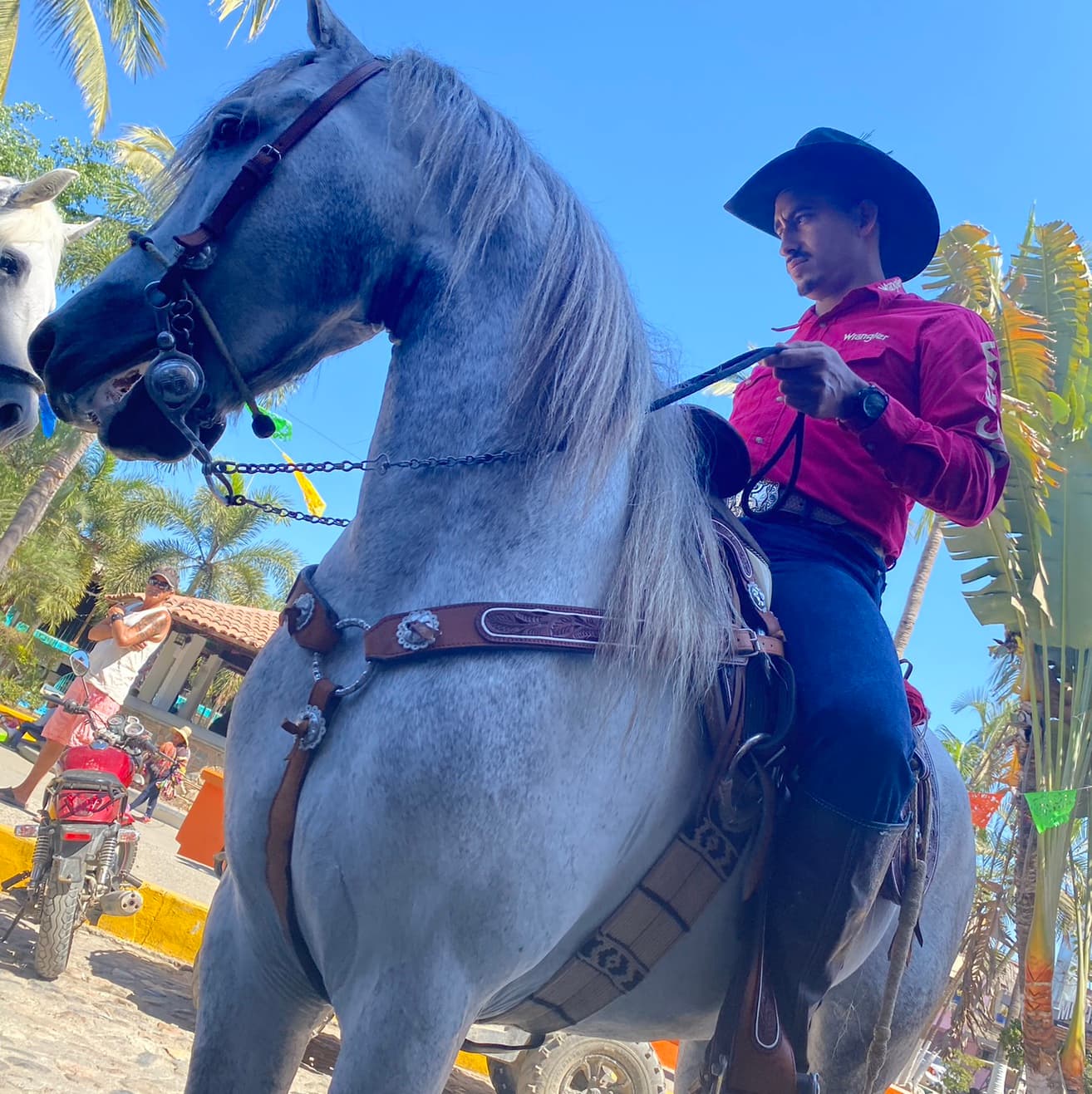 Horseback Tours