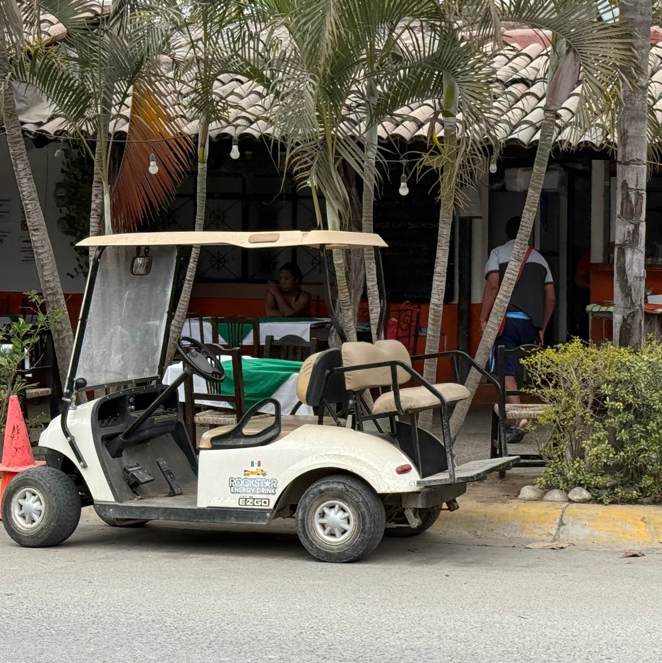 Golf Cart Rentals