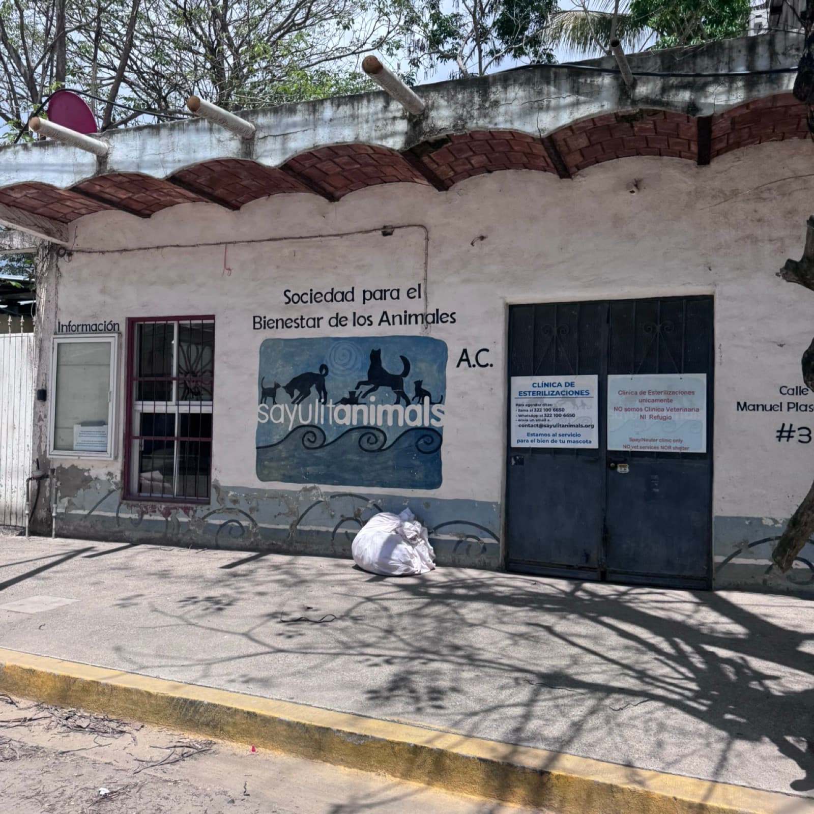 Sayulita Animals