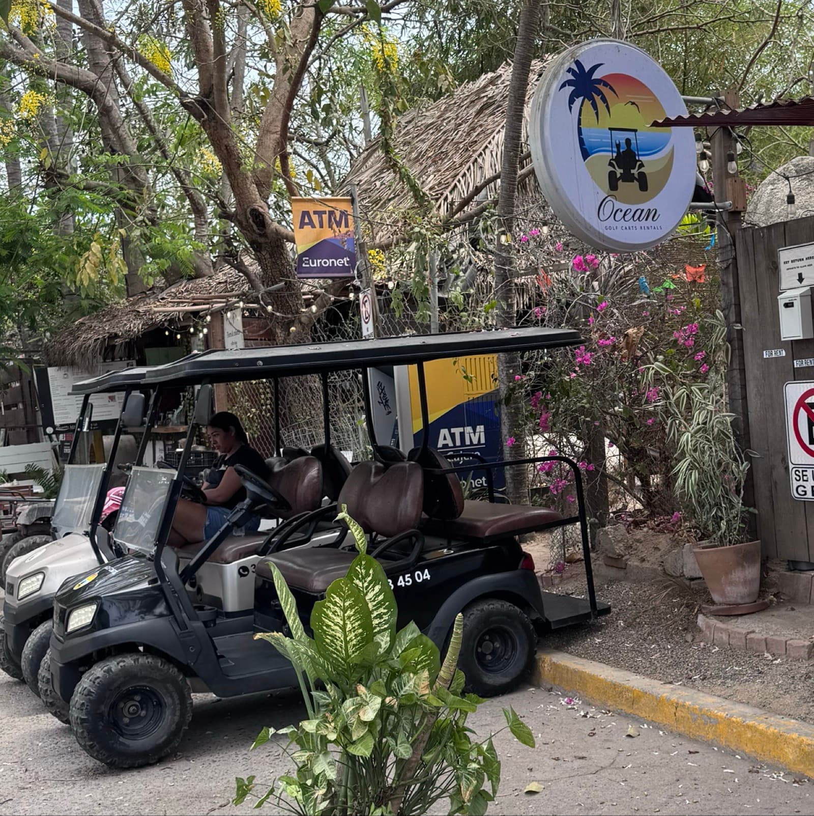 Ocean Golf Cart Rentals